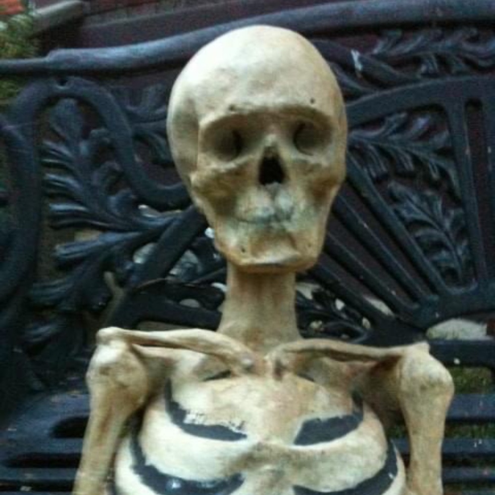 Meet your Posher, Karen